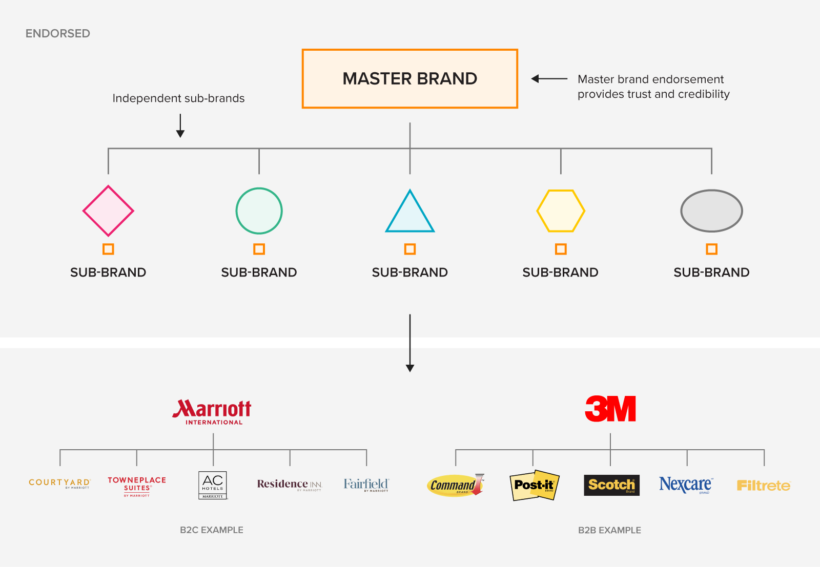 An example of the endorsed brand architecture with Marriot (B2C) and 3M (B2B) as examples.