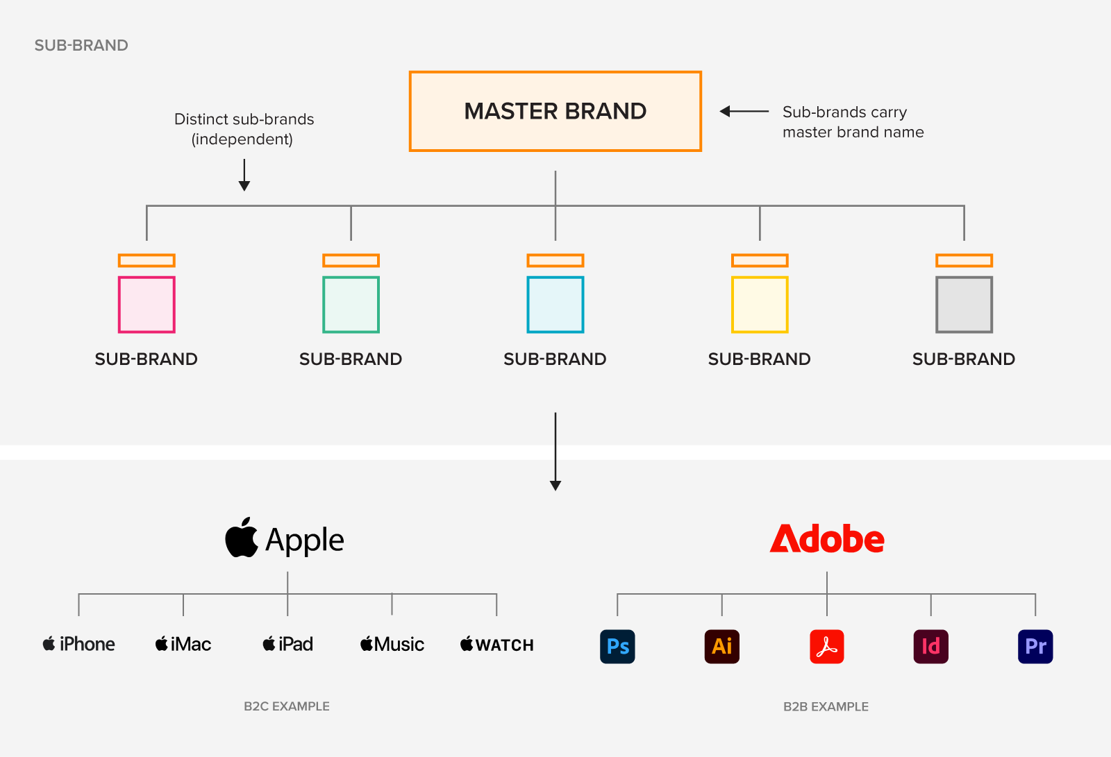 An example of the sub-brand brand architecture, with Apple (B2C) and Adobe (B2B) as examples.